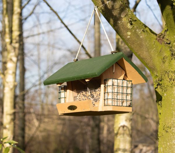 Birds at a wooden feeder